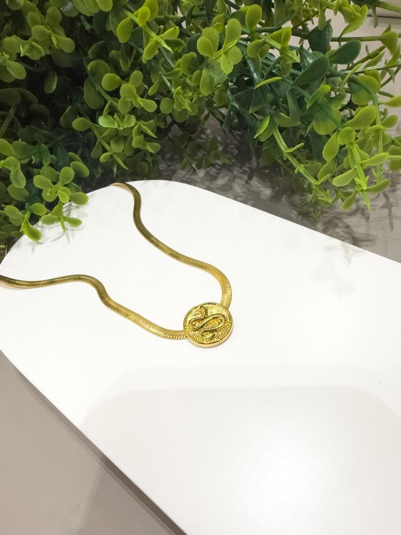085_4331_produto COLAR FITA SNAKE - Imagem 1